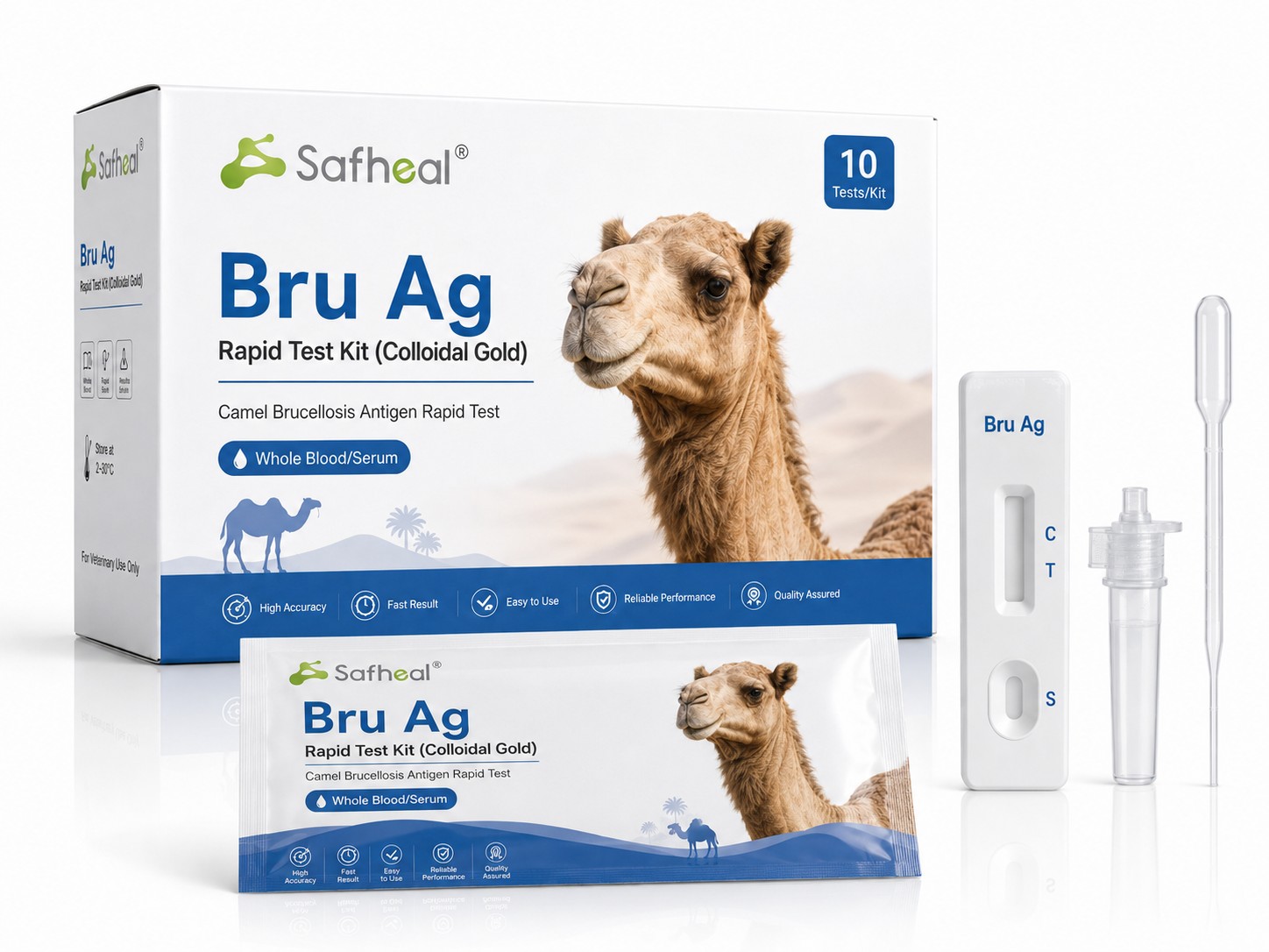 cammello brucellosi antigene kit per test rapido